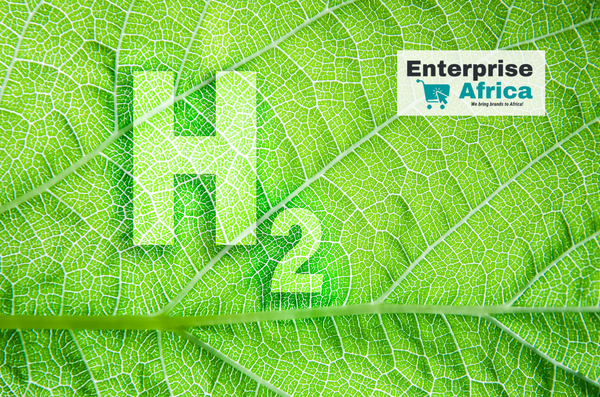 Green Hydrogen - South Africa foresees massive exports to the EU